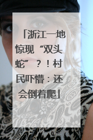 浙江一地惊现“双头蛇”？！村民吓懵：还会倒着爬