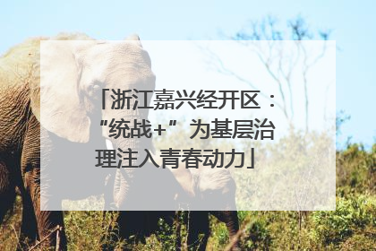 浙江嘉兴经开区：“统战+”为基层治理注入青春动力