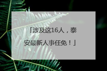 涉及这16人，泰安最新人事任免！