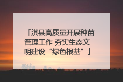 淇县高质量开展种苗管理工作 夯实生态文明建设“绿色根基”