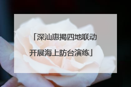 深汕惠揭四地联动开展海上防台演练