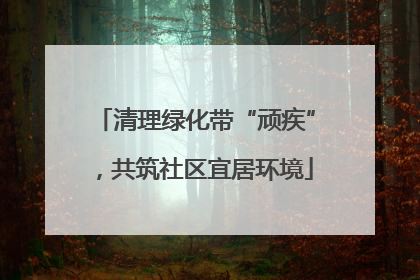 清理绿化带“顽疾”，共筑社区宜居环境