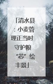清水县：小麦管理正当时 守护粮“芯”绘丰景