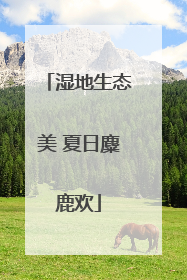湿地生态美 夏日麋鹿欢