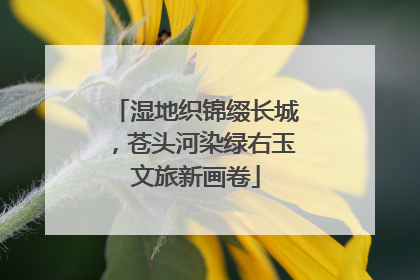 湿地织锦缀长城，苍头河染绿右玉文旅新画卷