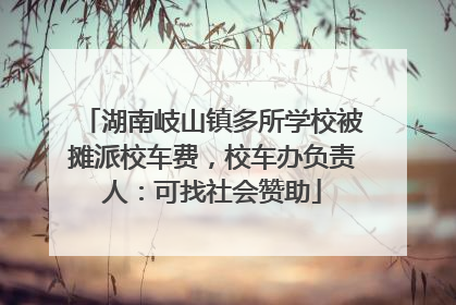 湖南岐山镇多所学校被摊派校车费，校车办负责人：可找社会赞助