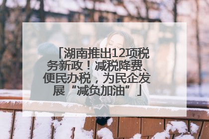 湖南推出12项税务新政！减税降费、便民办税，为民企发展“减负加油”