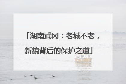 湖南武冈：老城不老，新貌背后的保护之道