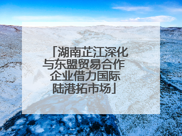 湖南芷江深化与东盟贸易合作 企业借力国际陆港拓市场