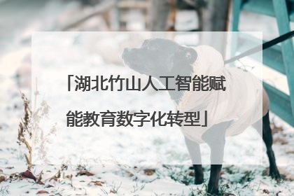 湖北竹山人工智能赋能教育数字化转型