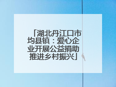 湖北丹江口市均县镇：爱心企业开展公益捐助推进乡村振兴