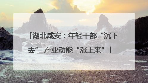 湖北咸安：年轻干部“沉下去” 产业动能“涨上来”