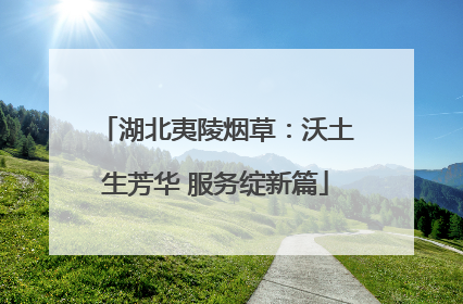 湖北夷陵烟草：沃土生芳华 服务绽新篇