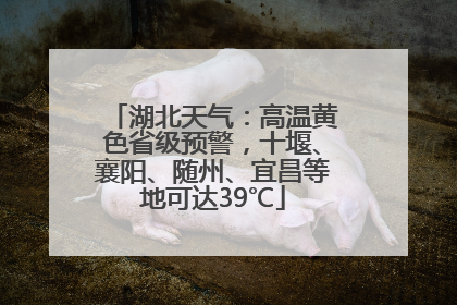 湖北天气：高温黄色省级预警，十堰、襄阳、随州、宜昌等地可达39℃