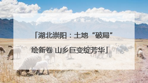 湖北崇阳：土地“破局”绘新卷 山乡巨变绽芳华
