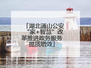 湖北通山公安“家+智慧”改革推进政务服务提质增效