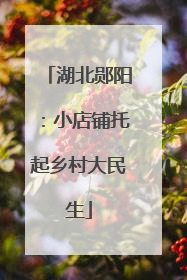 湖北郧阳：小店铺托起乡村大民生