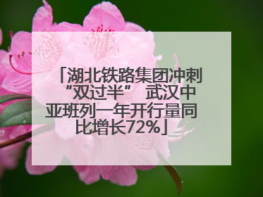 湖北铁路集团冲刺“双过半” 武汉中亚班列一年开行量同比增长72%
