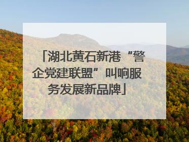 湖北黄石新港“警企党建联盟”叫响服务发展新品牌