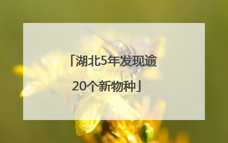 湖北5年发现逾20个新物种