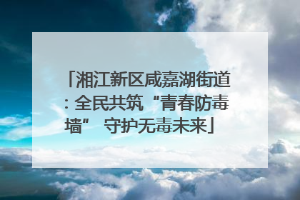 湘江新区咸嘉湖街道：全民共筑“青春防毒墙” 守护无毒未来