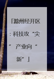 滁州经开区：科技攻“尖” 产业向“新”