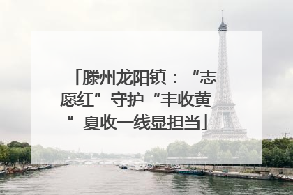 滕州龙阳镇：“志愿红”守护“丰收黄”夏收一线显担当