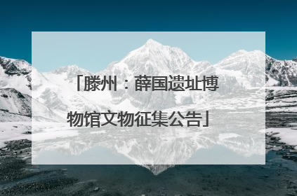 滕州：薛国遗址博物馆文物征集公告