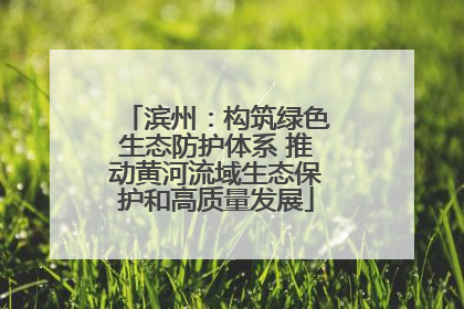 滨州：构筑绿色生态防护体系 推动黄河流域生态保护和高质量发展