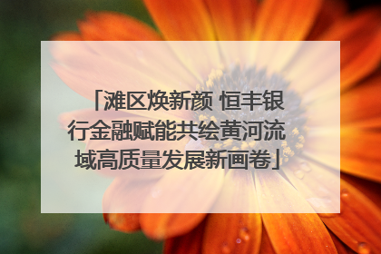 滩区焕新颜 恒丰银行金融赋能共绘黄河流域高质量发展新画卷