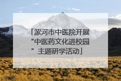 漯河市中医院开展“中医药文化进校园”主题研学活动