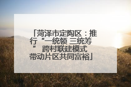 菏泽市定陶区：推行“一统领 三统筹” 跨村联建模式 带动片区共同富裕