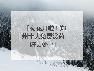 荷花开啦！郑州十大免费赏荷好去处→