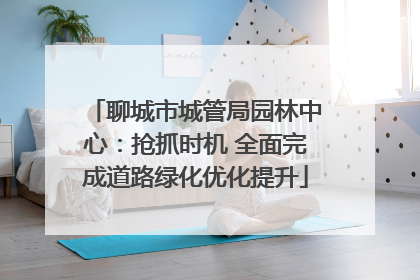 聊城市城管局园林中心：抢抓时机 全面完成道路绿化优化提升