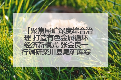 聚焦尾矿深度综合治理 打造有色金属循环经济新模式 张金良一行调研栾川县尾矿库综合治理工作