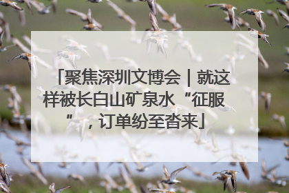 聚焦深圳文博会｜就这样被长白山矿泉水“征服”，订单纷至沓来
