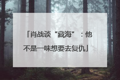 肖战谈“藏海”：他不是一味想要去复仇