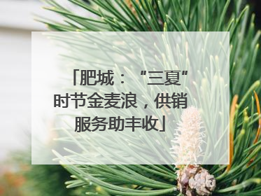 肥城：“三夏”时节金麦浪，供销服务助丰收