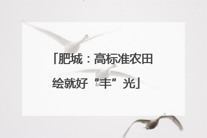 肥城：高标准农田绘就好“丰”光