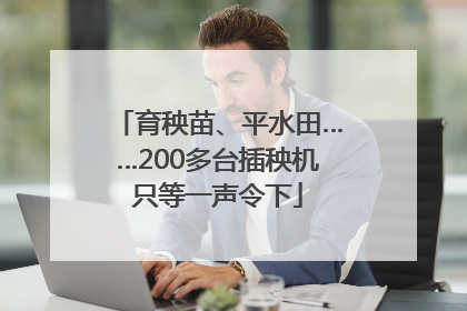 育秧苗、平水田……200多台插秧机只等一声令下