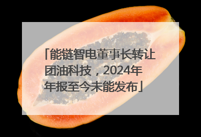 能链智电董事长转让团油科技，2024年年报至今未能发布