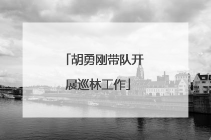 胡勇刚带队开展巡林工作