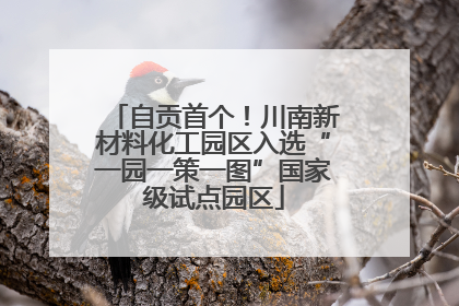 自贡首个！川南新材料化工园区入选“一园一策一图”国家级试点园区