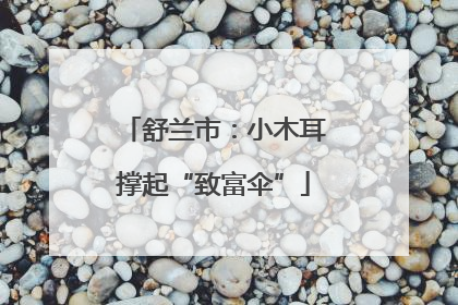 舒兰市：小木耳撑起“致富伞”
