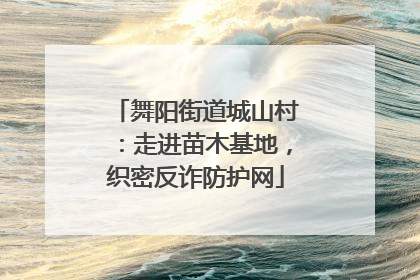 舞阳街道城山村：走进苗木基地，织密反诈防护网