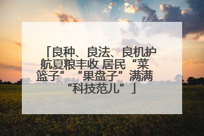 良种、良法、良机护航夏粮丰收 居民“菜篮子”“果盘子”满满“科技范儿”