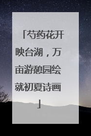 芍药花开映台湖，万亩游憩园绘就初夏诗画