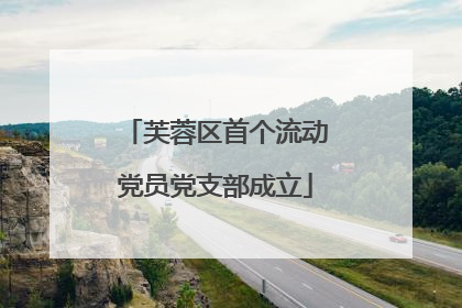芙蓉区首个流动党员党支部成立