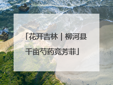 花开吉林｜柳河县千亩芍药竞芳菲