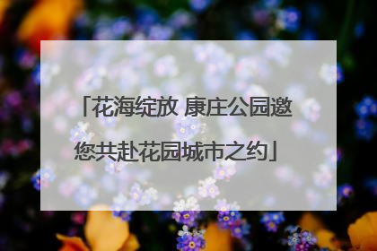 花海绽放 康庄公园邀您共赴花园城市之约